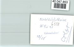 55596 W6558 Waldböckelheim FOTO KEINE AK In den reben