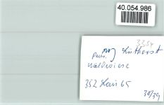 37586 W3354 Lüthorst FOTO KEINE AK Pension Waldwiese