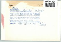 51580 W5226 Hahn FOTO KEINE AK Gasthof Elsper