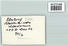 29574 W3112 Ebstorf FOTO KEINE AK Klosterkirche Madonna