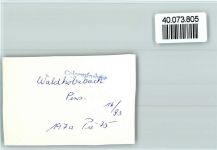 66679 W6646 Waldhölzbach FOTO KEINE AK Ortsansicht