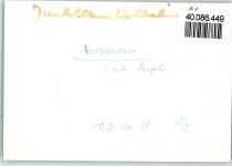 88149 W8993 Nonnenhorn FOTO KEINE AK Gasthaus Engel