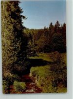 65321 W6209 Springen , Untertaunus FOTO KEINE AK Wispertal