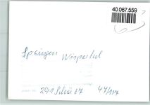 65321 W6209 Springen , Untertaunus FOTO KEINE AK Wispertal