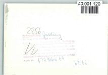 25836 W2256 Garding FOTO KEINE AK Haus am See