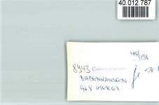 87727 W8943 Babenhausen , Schwab FOTO KEINE AK