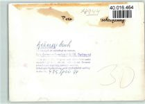 87730 W8944 Grönenbach , Allgäu FOTO KEINE AK