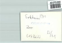 87746 W8941 Erkheim FOTO KEINE AK Ententeich