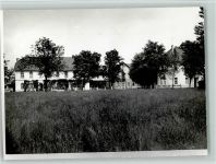 48480 W4441 Schapen , Emsl - Foto