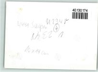 48480 W4441 Schapen , Emsl - Foto