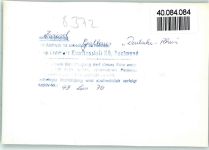 94227 W8372 Zwiesel FOTO KEINE AK Gasthaus Deutscher Rhein
