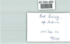 53498 W5484 Bad Breisig FOTO KEINE AK Cafe Paulsen