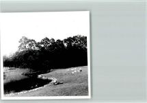 48629 W4439 Metelen - Foto 9x9cm