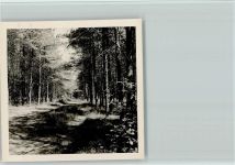 48734 W4421 Groß Reken Foto AK Foto 9x9cm AKU2