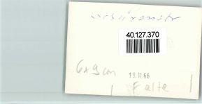 48336 W4414 Sassenberg , Westf - Foto