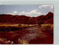57645 W5239 Nister FOTO KEINE AK