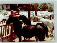 93474 W8491 Arrach , Bayerischer Wald FOTO KEINE AK Pony´s werden gestreichelt
