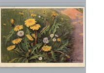 Blumen sign. Rapin, Andree