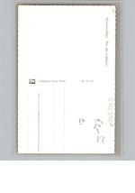 38709 W3391 Wildemann