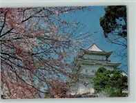 Frühlingsblütenpracht am Himeji Schloß Tempel