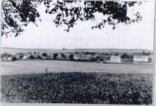 84085 W8301 Langquaid - Foto