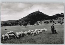 72760 W7410 Gönningen , Kr Reutlingen - Turm Feld Schaf Baum