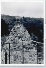 61476 W6242 Kronberg im Taunus - Foto Baum Zaun