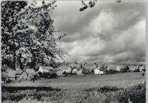 69429 W6935 Schollbrunn , Odenw