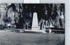 61462 W6240 Schneidhain , Taunus - Foto Denkmal Baum Wiese