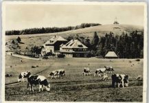 79183 W7808 Waldkirch , Breisgau - Berghotel Kandel