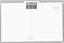 56867 W5589 Briedel - Fliegeraufnahme