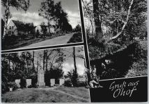38536 W3176 Ohof - Bach Baum Denkmal Straße