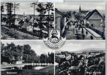 38875 O3703 Elbingerode (Harz) - Torstraße Panorama Schwimmbad