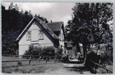38678 W3392 Festenburg - Gasthaus zur grünen Tanne