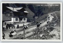 51530 Monthelon - Foto-Karte