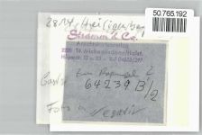 27305 W2814 Heiligenberg , Kr Grafsch Hoya FOTO KEINE AK Foto mit Negativ, Gasthaus