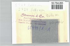 27367 W2724 Sottrum , Kr Rotenburg, Wümme FOTO KEINE AK Foto mit Negativ
