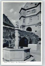 Idstein Löwenbrunnen AKU2