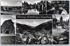 95339 W8655 Wirsberg - Ruine, Gesamtansicht, Grundmühle, Goldbergsee