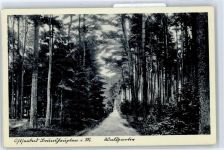 18225 O2565 Brunshaupten Kühlungsborn, Ostseebad - Waldweg