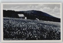 98587 O6081 Steinbach-Hallenberg - Berggasthaus Knüllfeld