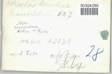 18225 O2565 Arendsee Kühlungsborn, Ostseebad FOTO KEINE AK Foto, Strand