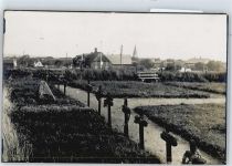 25946 W2278 Nebel , Amrum FOTO KEINE AK Foto, Friedhof