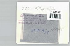 27721 W2863 Ritterhude FOTO KEINE AK Foto mit Negativ, Schule