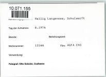 25863 W2251 Langeneß FOTO KEINE AK