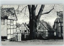 49545 W4542 Tecklenburg - Marktlinde