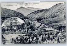 99891 O5801 Winterstein , Thüringerw Künstlerkarte Oberförsterei , Hopfenberg , sign. F. Hohlbein