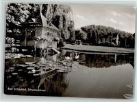 W6427 Bad Salzschlirf Schwanenhaus Schwäne Seerosen Seerose
