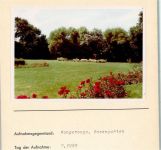 26486 W2946 Wangerooge , Nordseebad FOTO KEINE AK Rosengarten Foto montiert auf Karton