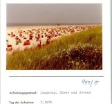 26465 W2941 Langeoog FOTO KEINE AK Dünen und Strand Foto montiert auf Karton